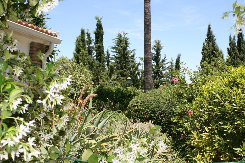 Bed and Breakfast Cortijo Andaluz Альхаурин-эль-Гранде Экстерьер фото